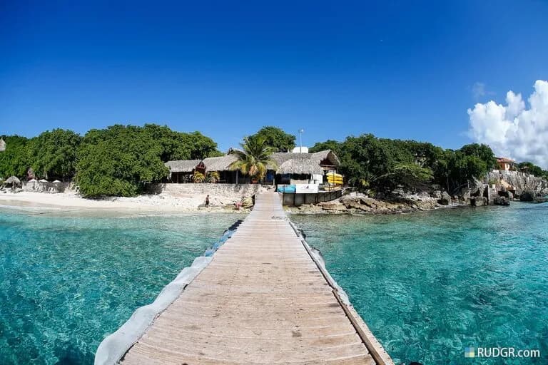 Go West Diving - image Go West Diving - image