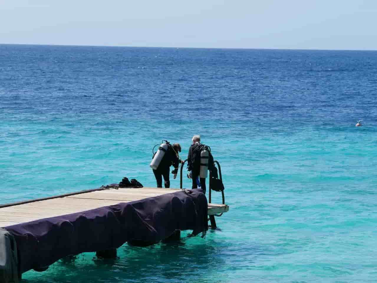 Thumbnail 2 Thumbnail 2