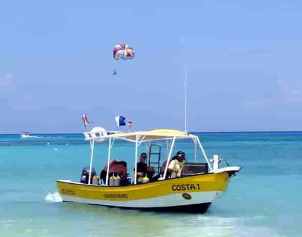 Thumbnail 2 Thumbnail 2