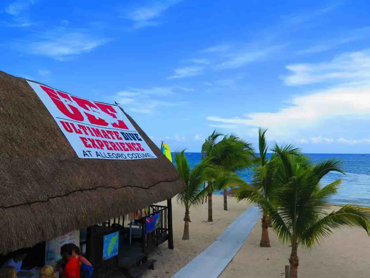 Thumbnail 1 Thumbnail 1