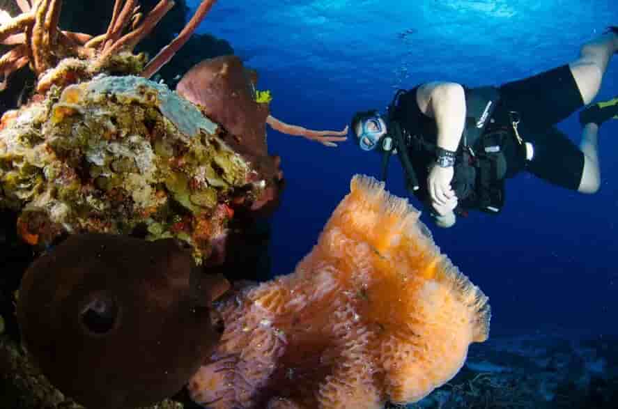 Thumbnail 9 Thumbnail 9