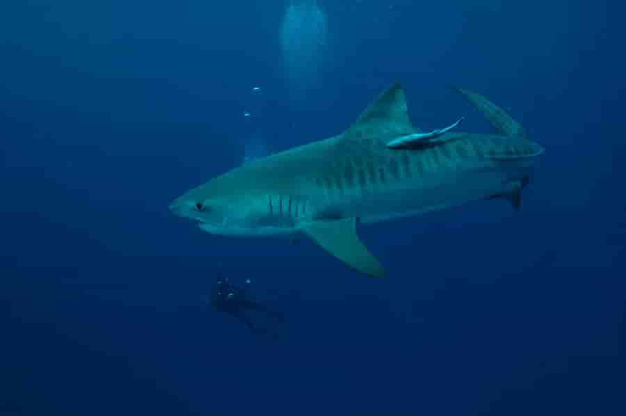 Thumbnail 5 Thumbnail 5