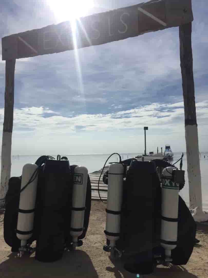 Thumbnail 1 Thumbnail 1