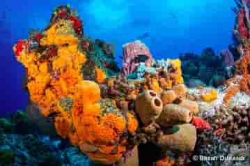 Thumbnail 3 Thumbnail 3