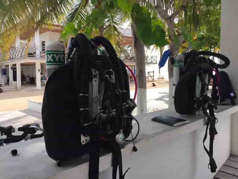 Thumbnail 4 Thumbnail 4