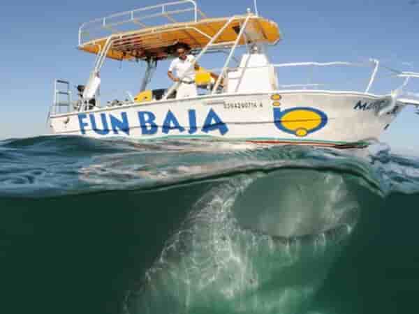 Thumbnail 13 Thumbnail 13