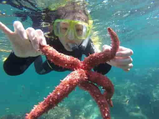 Thumbnail 14 Thumbnail 14