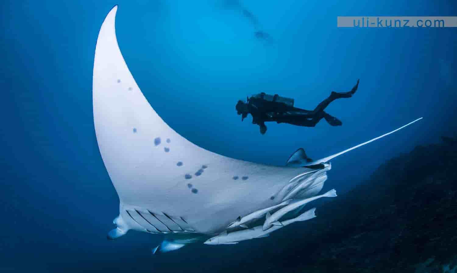 Thumbnail 2 Thumbnail 2