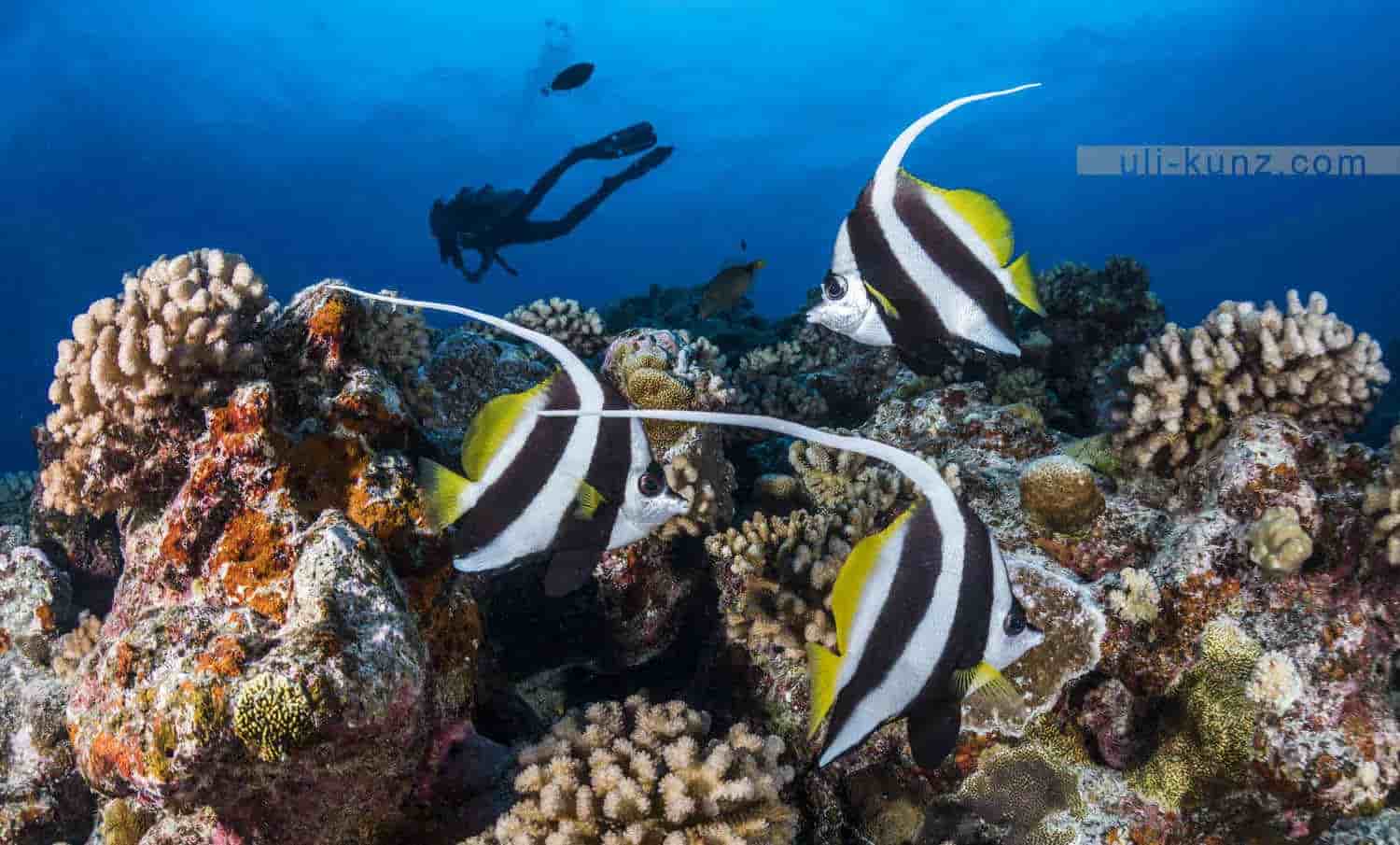 Thumbnail 3 Thumbnail 3