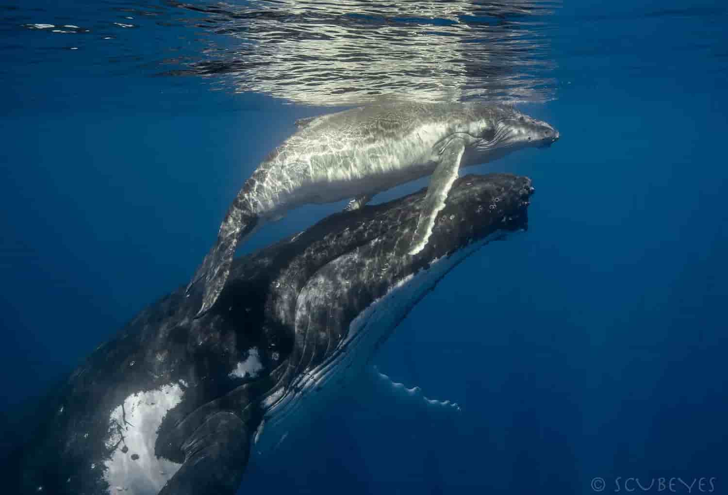 Thumbnail 10 Thumbnail 10