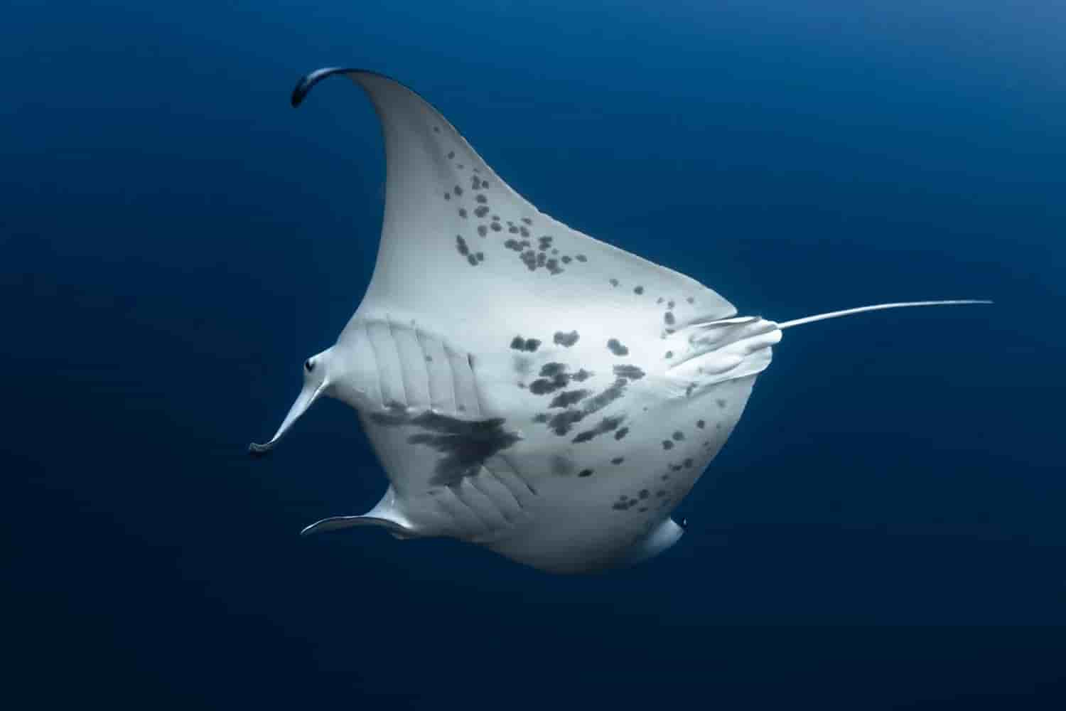 Thumbnail 12 Thumbnail 12