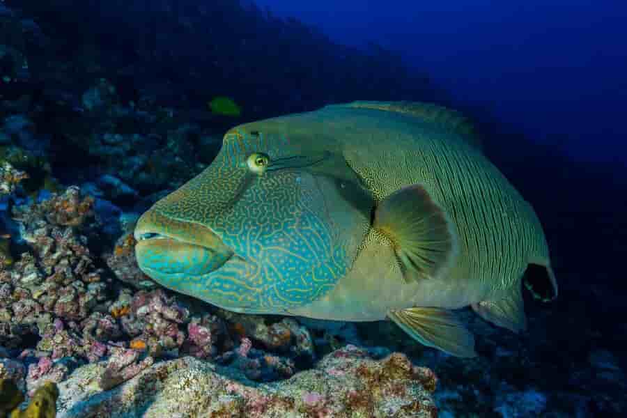 Thumbnail 13 Thumbnail 13