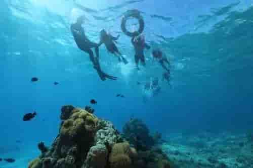 Thumbnail 17 Thumbnail 17