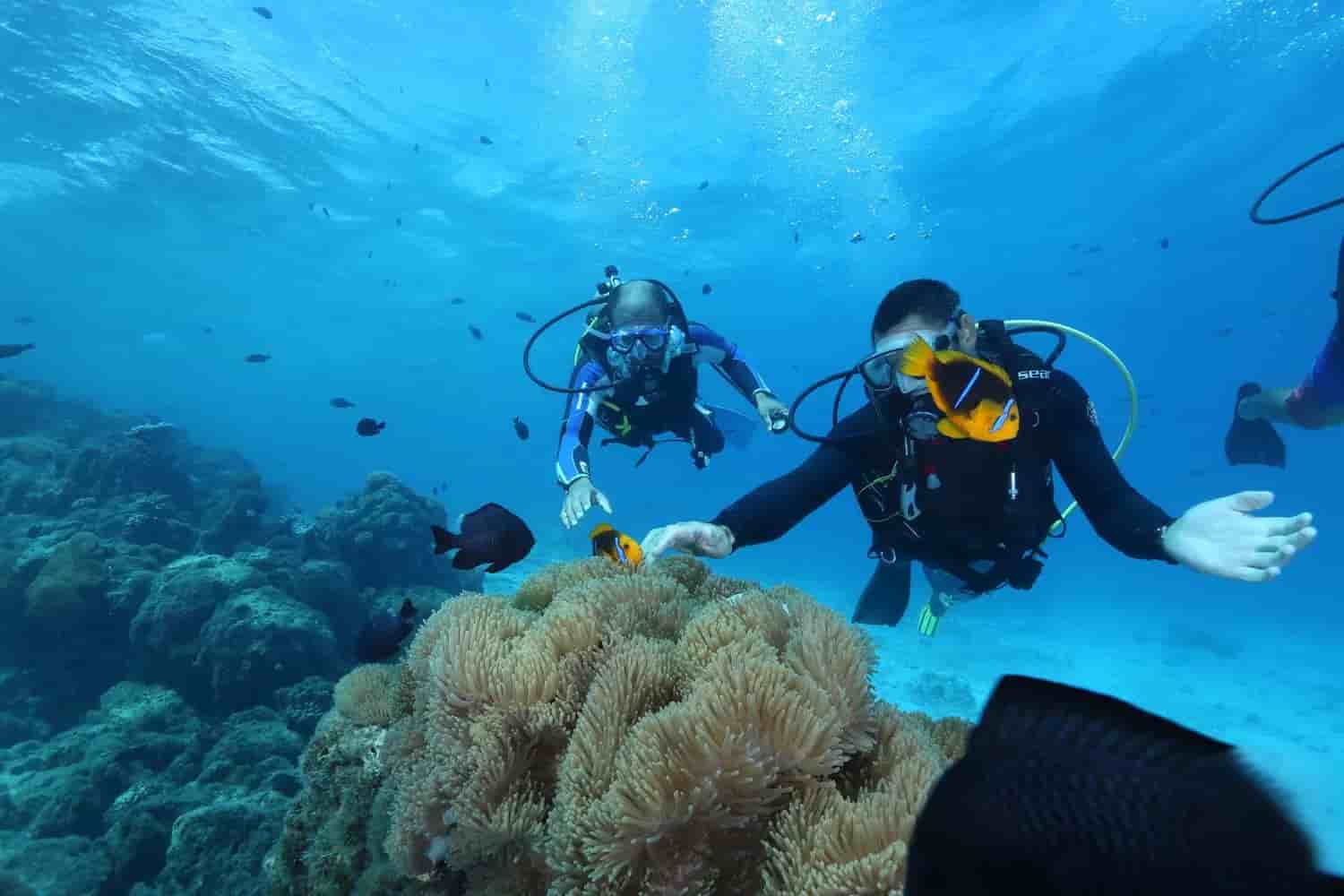 Thumbnail 21 Thumbnail 21