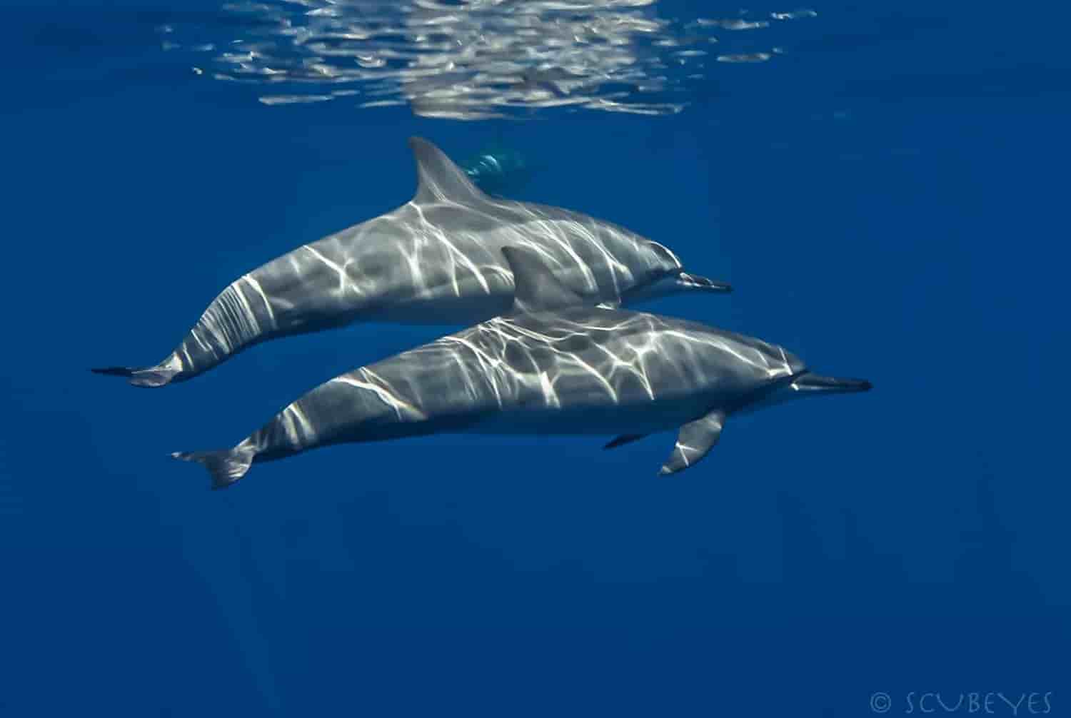 Thumbnail 25 Thumbnail 25