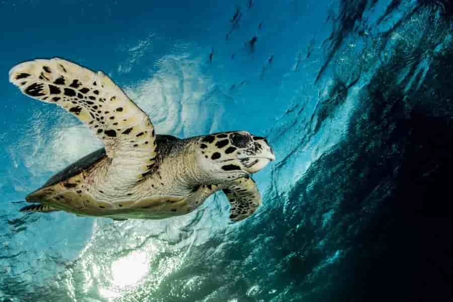 Thumbnail 28 Thumbnail 28