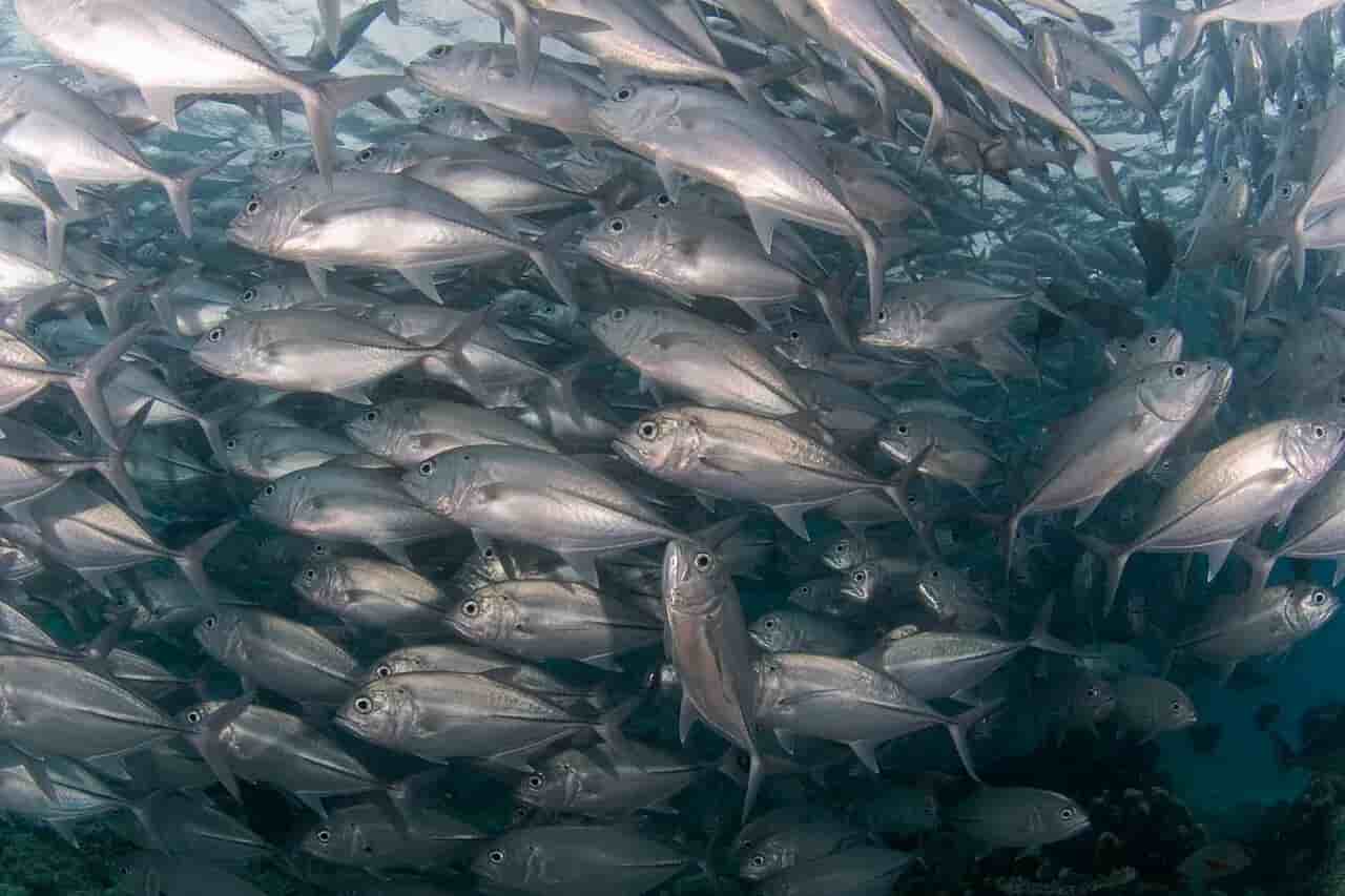 Thumbnail 11 Thumbnail 11