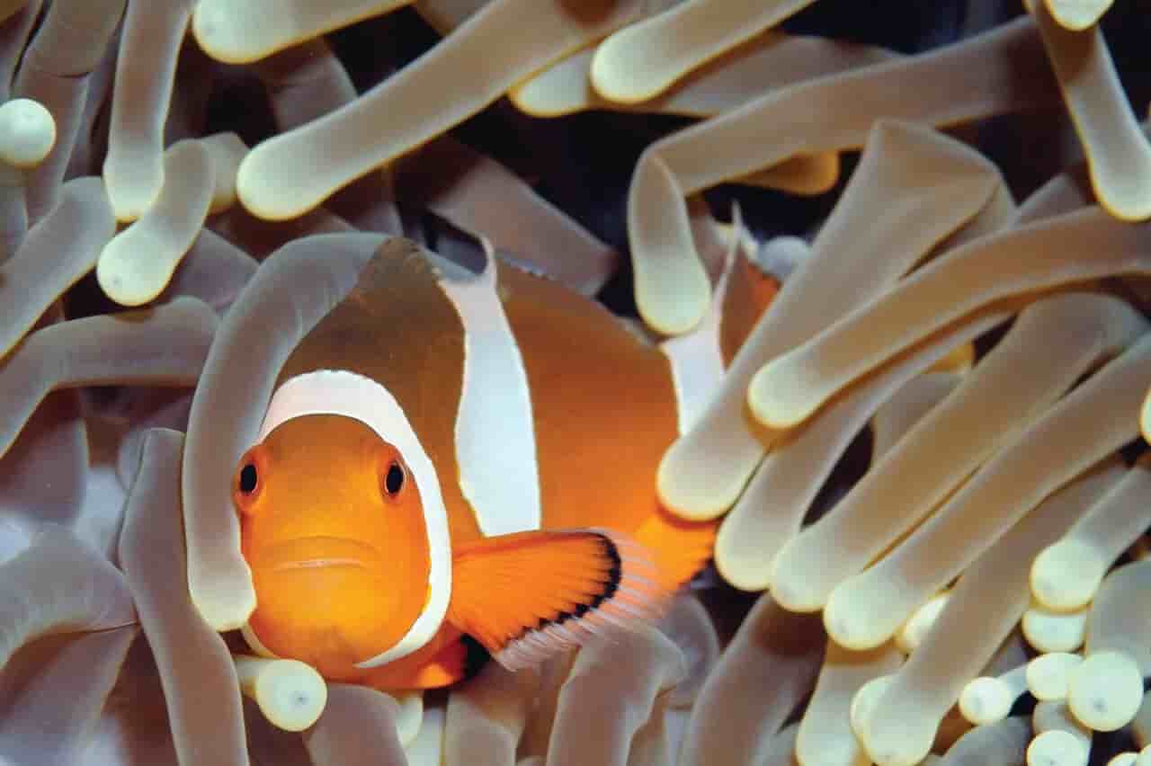 Thumbnail 13 Thumbnail 13