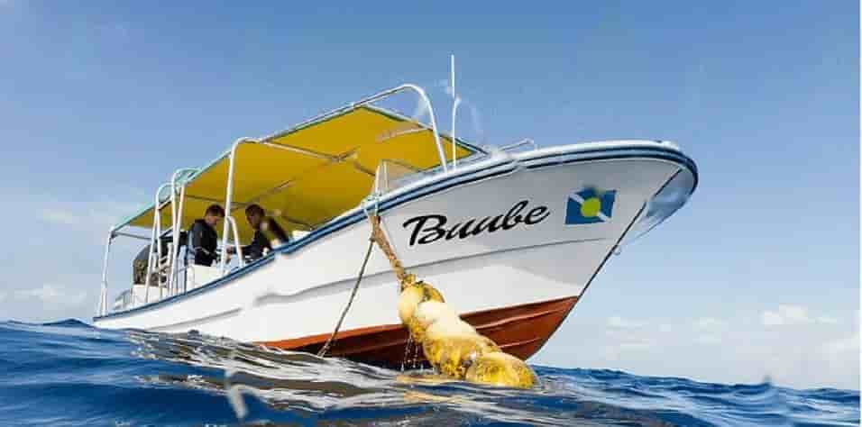 Thumbnail 1 Thumbnail 1