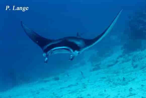 Thumbnail 2 Thumbnail 2