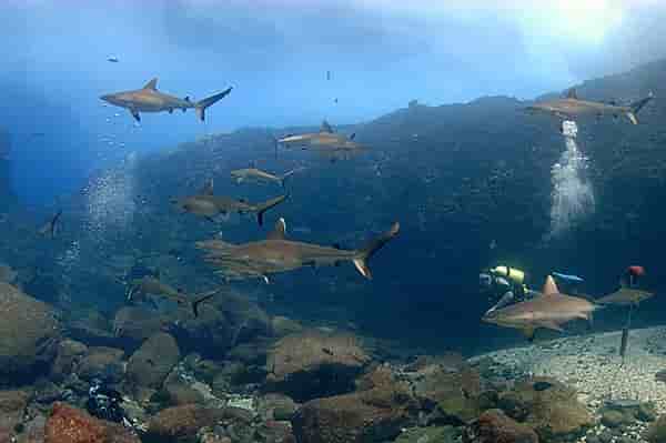 Thumbnail 3 Thumbnail 3