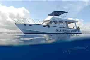 Thumbnail 4 Thumbnail 4