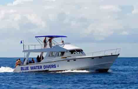 Thumbnail 5 Thumbnail 5