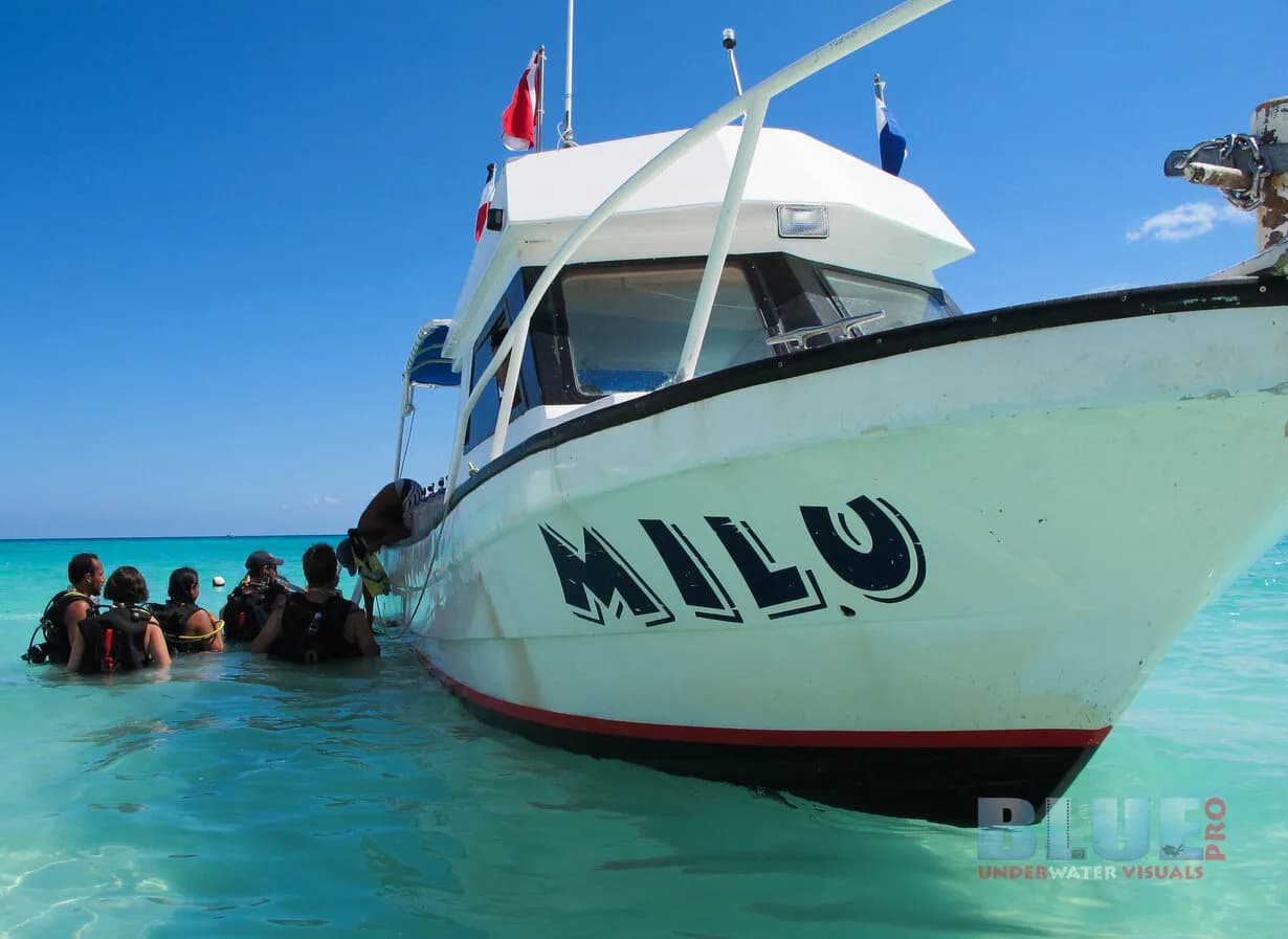 DUNE Mexico Blue Dream - image DUNE Mexico Blue Dream - image