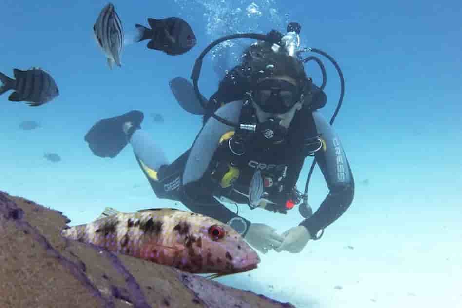 Thumbnail 4 Thumbnail 4