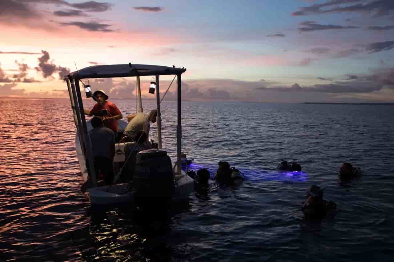 Thumbnail 4 Thumbnail 4