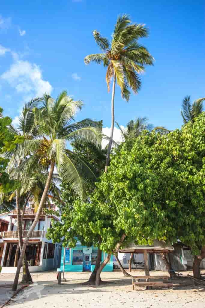 Thumbnail 11 Thumbnail 11