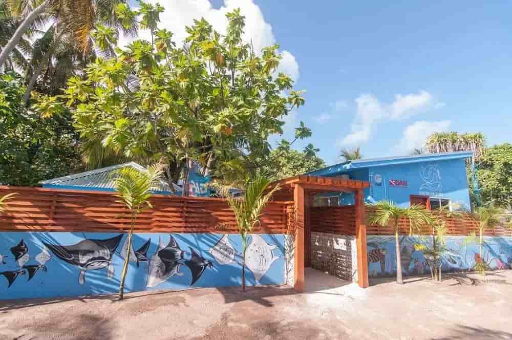 Thumbnail 13 Thumbnail 13