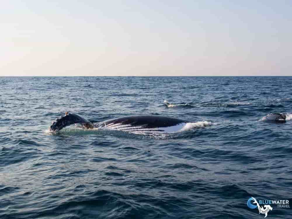 Thumbnail 3 Thumbnail 3