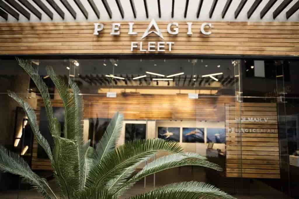 Thumbnail 1 Thumbnail 1