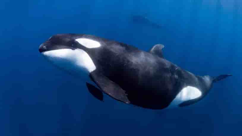 Thumbnail 3 Thumbnail 3