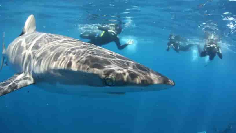 Thumbnail 5 Thumbnail 5