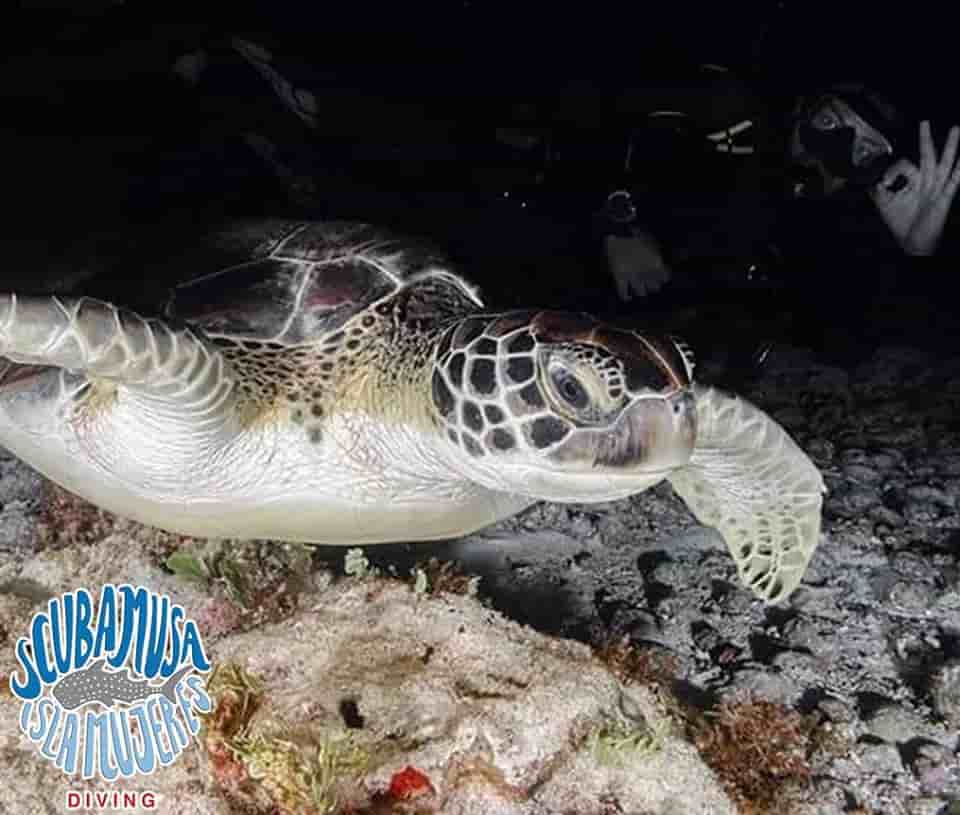 Thumbnail 6 Thumbnail 6