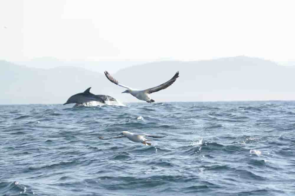 Thumbnail 7 Thumbnail 7