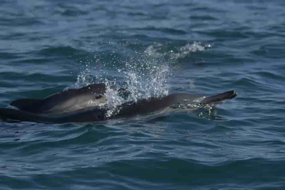 Thumbnail 8 Thumbnail 8