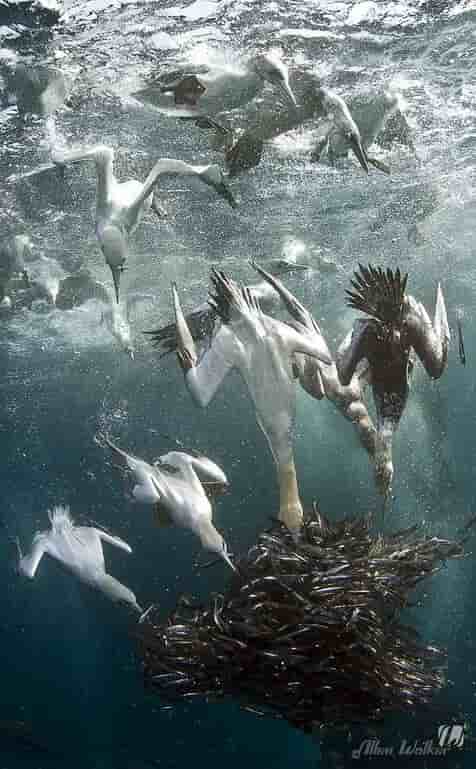 Thumbnail 6 Thumbnail 6