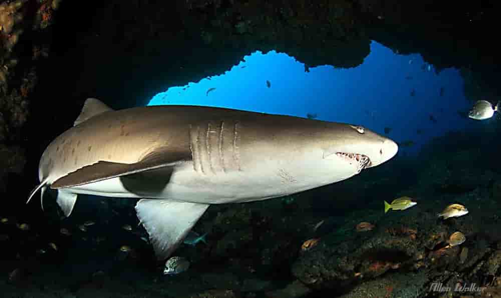 Thumbnail 13 Thumbnail 13