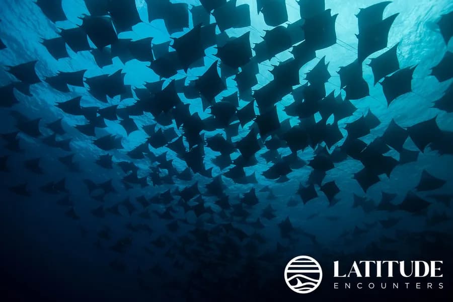 Latitude Encounters - Mexico - image Latitude Encounters - Mexico - image