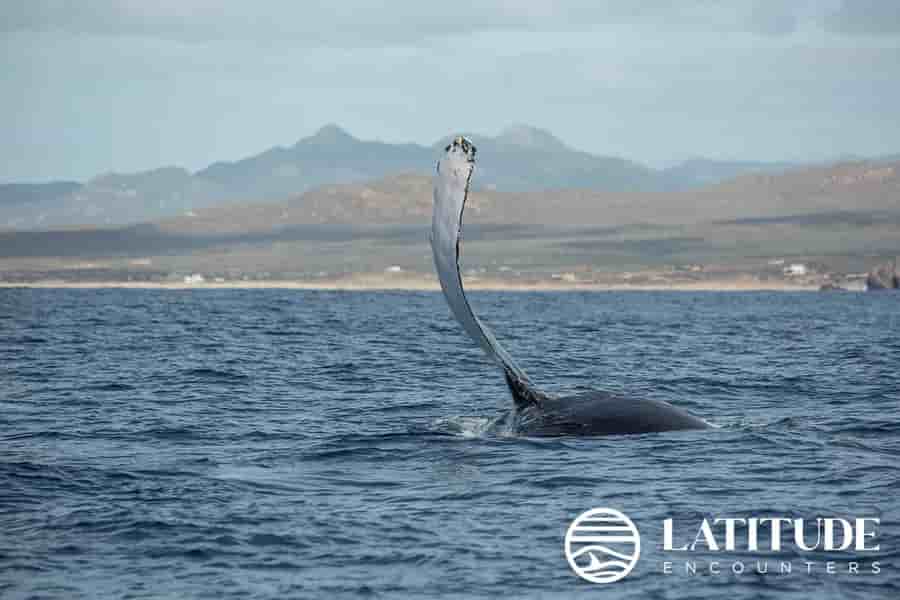 Thumbnail 2 Thumbnail 2