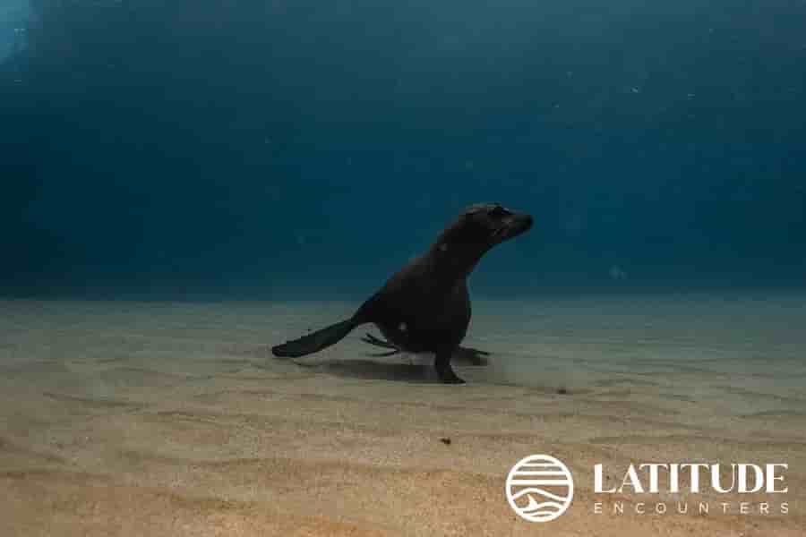 Thumbnail 4 Thumbnail 4