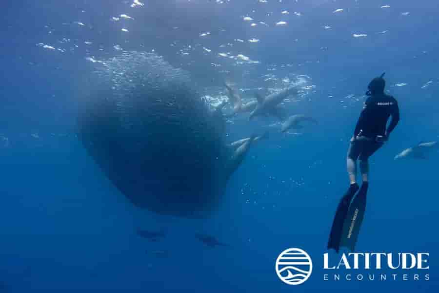 Thumbnail 15 Thumbnail 15