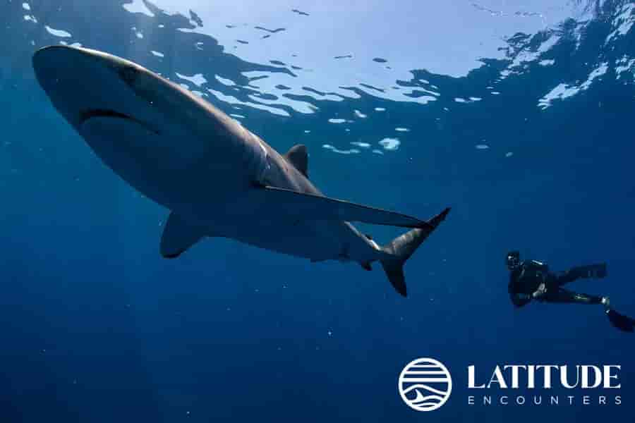 Thumbnail 24 Thumbnail 24