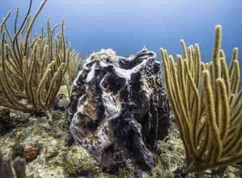 Thumbnail 2 Thumbnail 2