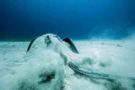 Thumbnail 5 Thumbnail 5