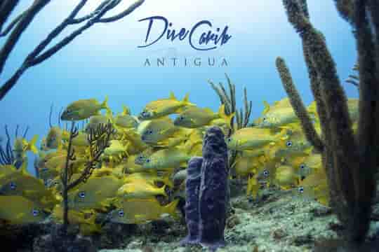 Thumbnail 7 Thumbnail 7