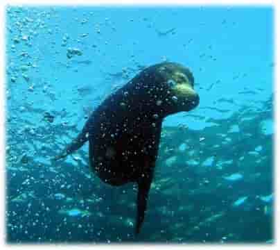 Thumbnail 1 Thumbnail 1